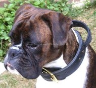 Dog Collar for Boxer with Handle