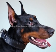 Doberman Dog Collar Padded | Collar K-9 for Working Dogs