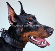 Dobermann Halsband Gepolstert, Halsband K9 für Diensthunde