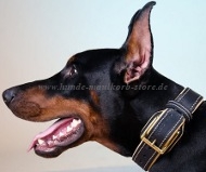 Dobermann Hunde Halsband mit Nappa Innen, Breites Lederhalsband