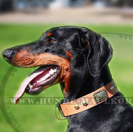 Dobermann Hundehalsband aus Leder "Sausy Nature" Dobermann Hundehalsband aus Leder "Sausy Nature"