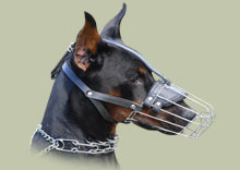 Doberman wire basket muzzle