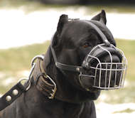 Wire Basket Dog Muzzle for Cane Corso