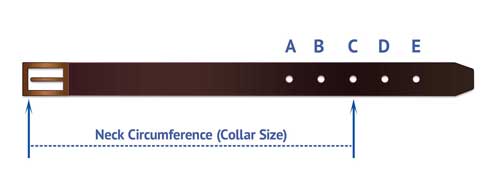 leather collar for small dogs c112 measurement