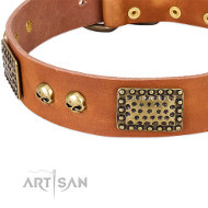 Exklusives Hundehalsband im Geschenk-Box "Sausy Nature" Exklusives Hundehalsband im Geschenk-Box "Sausy Nature"