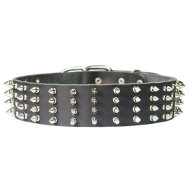 Leather 4 rows spiked dog collar, extra wide 2 inch