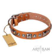 Lederhalsband Lederhalsband TAn mit Dekorationen