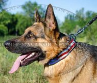 Dog Collar with USA Flag for German Shepherd