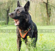 Deutscher Schäferhund geschicktes Leder Geschirr Deutscher Schäferhund geschicktes Leder Geschirr