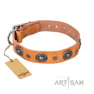 Hübsches FDT Artisan lederhalsband "Twinkle Twinkle" Hübsches FDT Artisan lederhalsband "Twinkle Twinkle"