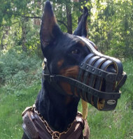Gepolsterter Beisslkorb für Dobermann Gepolsterter Beisslkorb für Dobermann