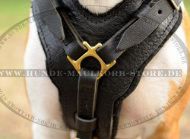 Luxury Harness for Amstaff Training, Padded Leather Plate