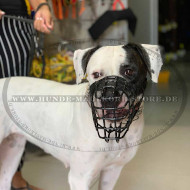 Wire Basket Muzzle for Winter for mix breed