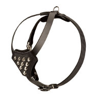 Leather dog harness with pyramids for French Bulldog