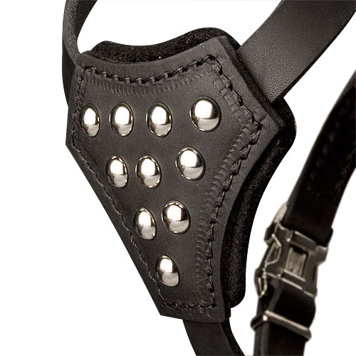 studded Leather harness for small-medium breeds, spiked model