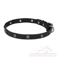 https://www.hunde-maulkorb-store.de/images/Halsband-fuer-Hund-aus-echtem-Leder-mit-Blumen-Nieten.jpg