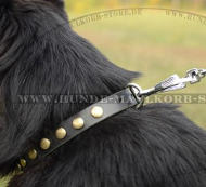Goldene Nieten Halsband für Deutschen Schäferhund