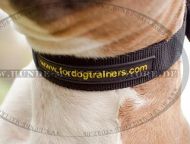 Amstaff Nylon halsband für Sport und jeden Tag