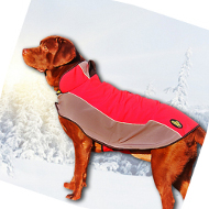 Dog Winter Coat for Labrador | Raincoat for Dogs of Any Breed