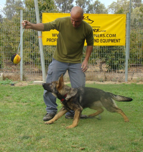 Dog Toy Linen for Schutzhund Training 