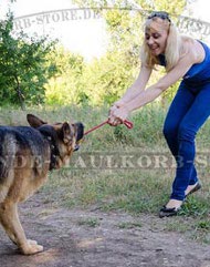 Dog Toy for Tug Games with German Shepherd