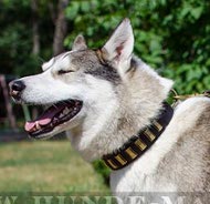 Hundehalsband aus Fettleder mit Schmuck für Husky und Laika