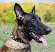 Leather Collar for Shepherd with Three Rows of Studs