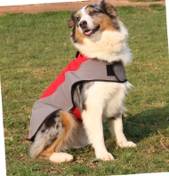 Hundemantel für Australian Shepherds | Wasserdicht + Fleece ❉