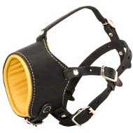 Amstaff Leather Dog Muzzle buy here!