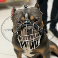 Robuster Hundemaulkorb aus Stahldraht für Bully
