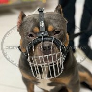 Extra Large Wire Basket Muzzle American Bully