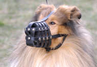 Collie Everyday Leather Dog muzzle with super ventilation