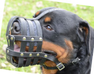 Muzzle Leather for Rottweiler | Muzzle with Perfect Ventilation