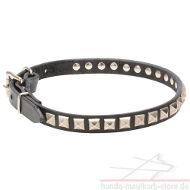 https://www.hunde-maulkorb-store.de/images/Ideales-Koenig-Look-Lederhalsband.jpg