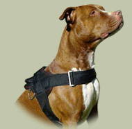 Pitbull Nylon multi-purpose dog harness K9