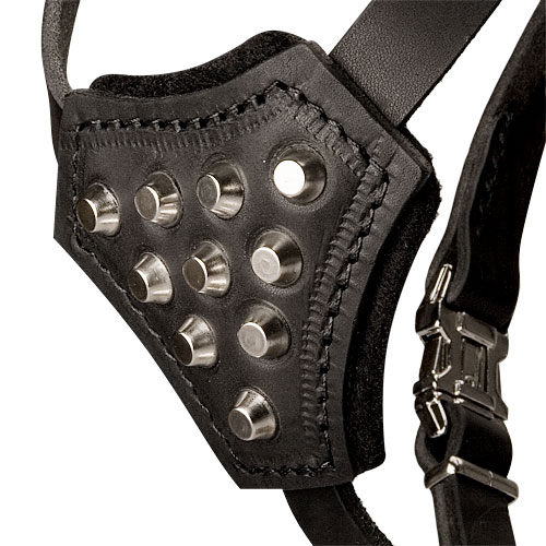 Leather harness for small-medium breeds, spiked model