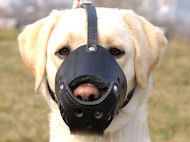 Labrador Everyday Leather dog muzzle