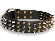 Exclusive leather dog collar with pyramids and spikes