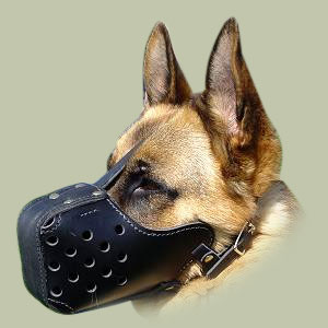 Leather dog muzzle