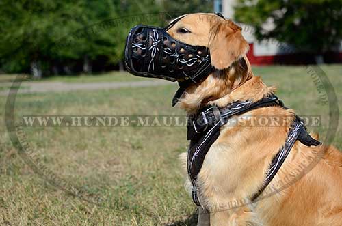 Dog Harness Leather for Golden Retriever 