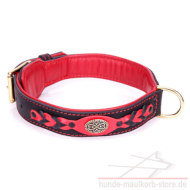 Leder Hundehalsband mit roter Nappapolsterung