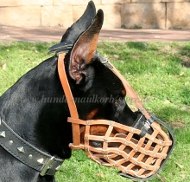 Maulkorb Leder für Dobermann mit Stahlschiene Hochwertigkeit