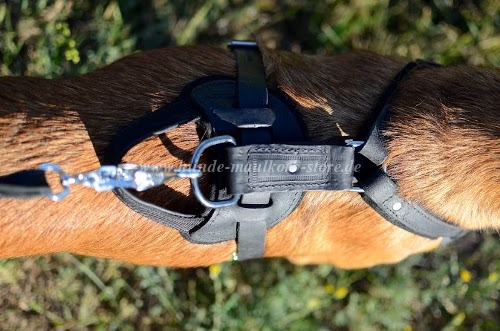 Leather Harness Padded | Harness K9 TOP QUALITY