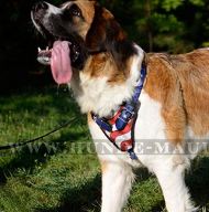 USA Stil Ledergeschirr für Moskauer Wachhund