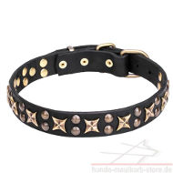 Gold Stars Dog Collar of Impregnated Leather