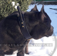 Breites Hundehalsband aus Echtleder mit Griff für Cane Corso