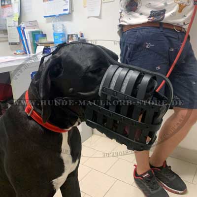 Dog Muzzle Great Dane | Leather Muzzle Perfect Ventilation