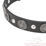 Leather Collar with Exclusive Conchos and Studs