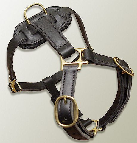 Leather dog harness