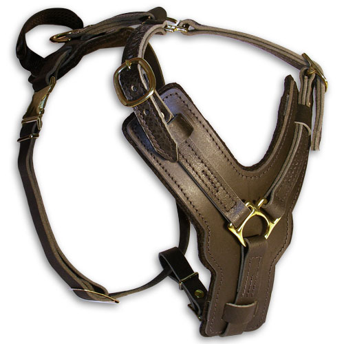 royal leather dog harness